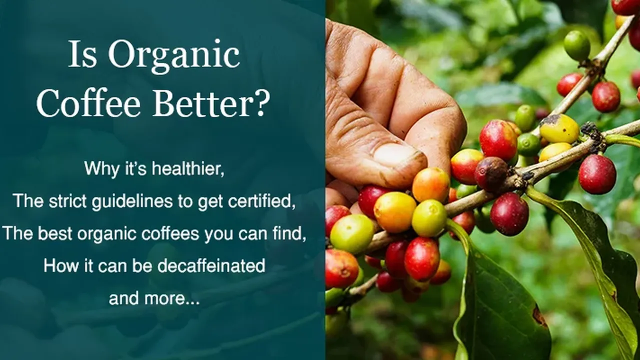 Two mint chocolate milkshakes with whipped cream and green sprinkles.